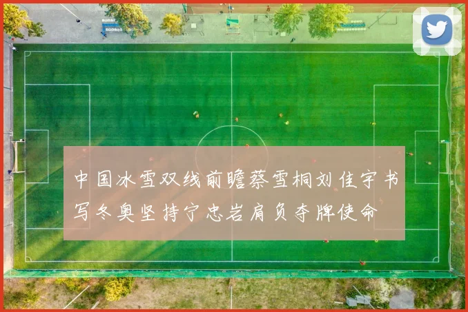 中国冰雪双线前瞻蔡雪桐刘佳宇书写冬奥坚持宁忠岩肩负夺牌使命